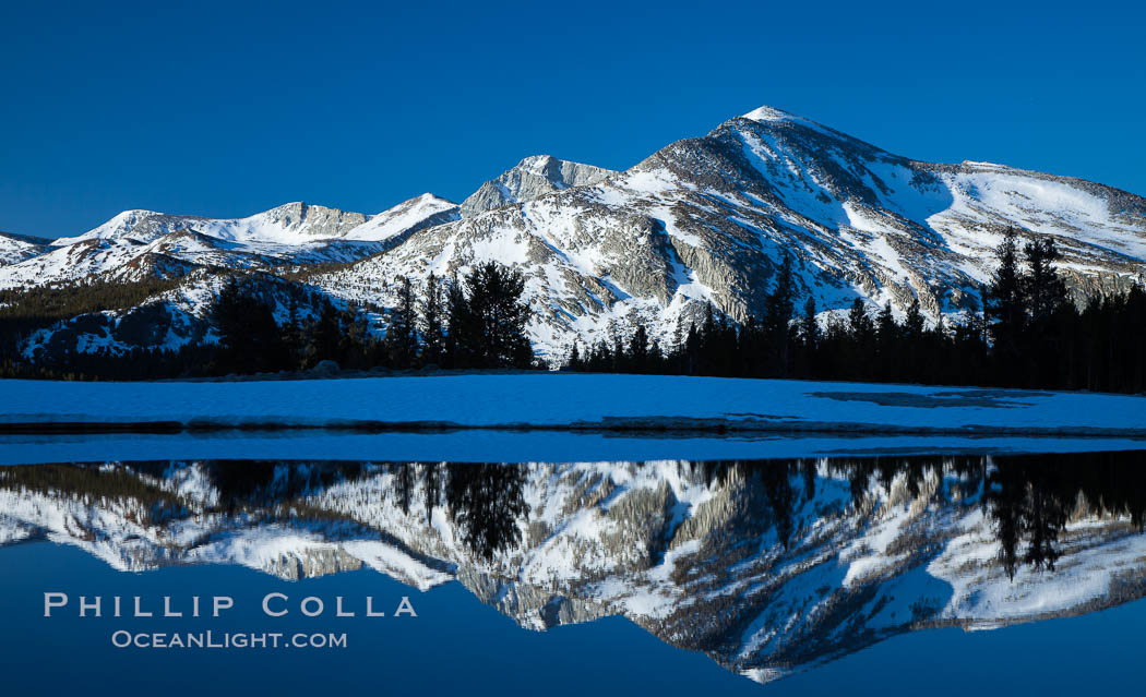 Mammoth Peak over Tuolumne Meadows, Tioga Pass, Yosemite National Park. California, USA, natural history stock photograph, photo id 28513