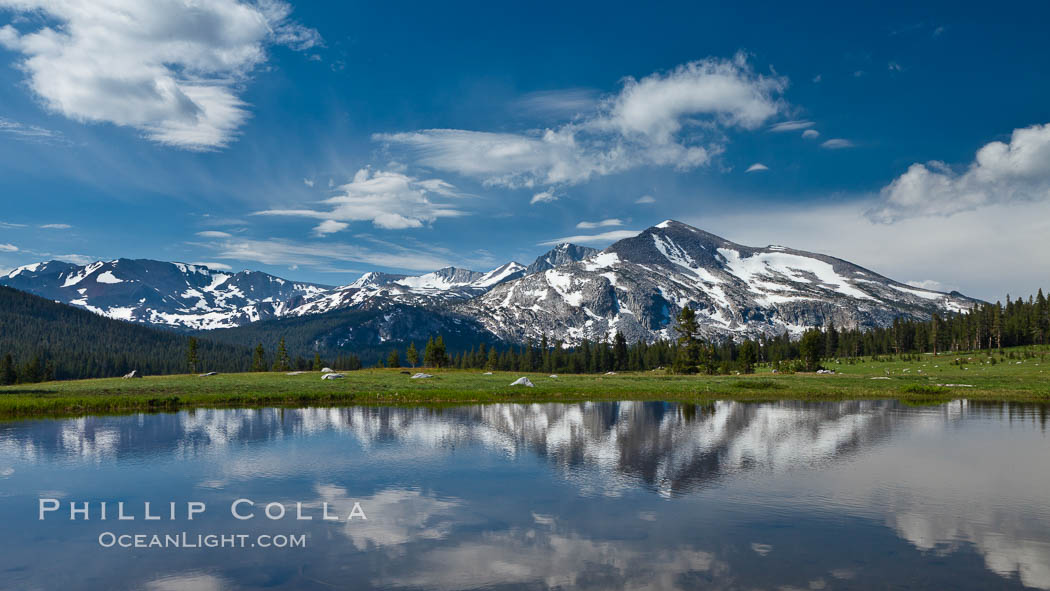 Mammoth Peak in the Yosemite High Country, reflected in small tarn pond, viewed from meadows near Tioga Pass. Yosemite National Park, California, USA, natural history stock photograph, photo id 26994