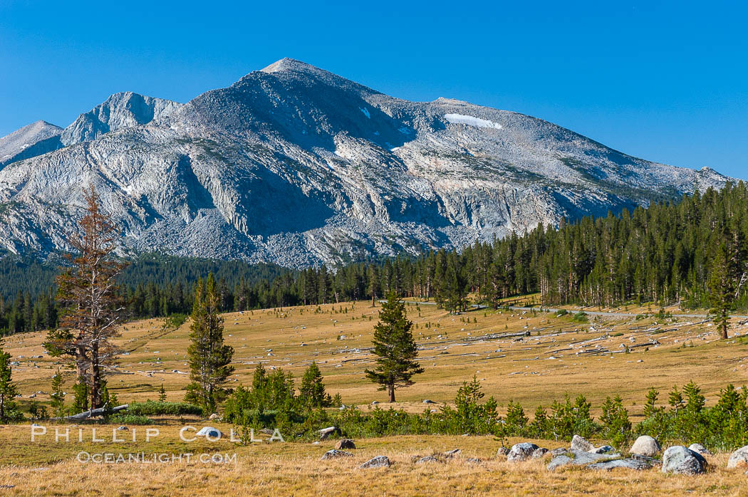 Mammoth Peak and alpine meadows in the High Sierra, viewed from the Tioga Pass road just west of the entrance to Yosemite National Park. Late summer. California, USA, natural history stock photograph, photo id 09952