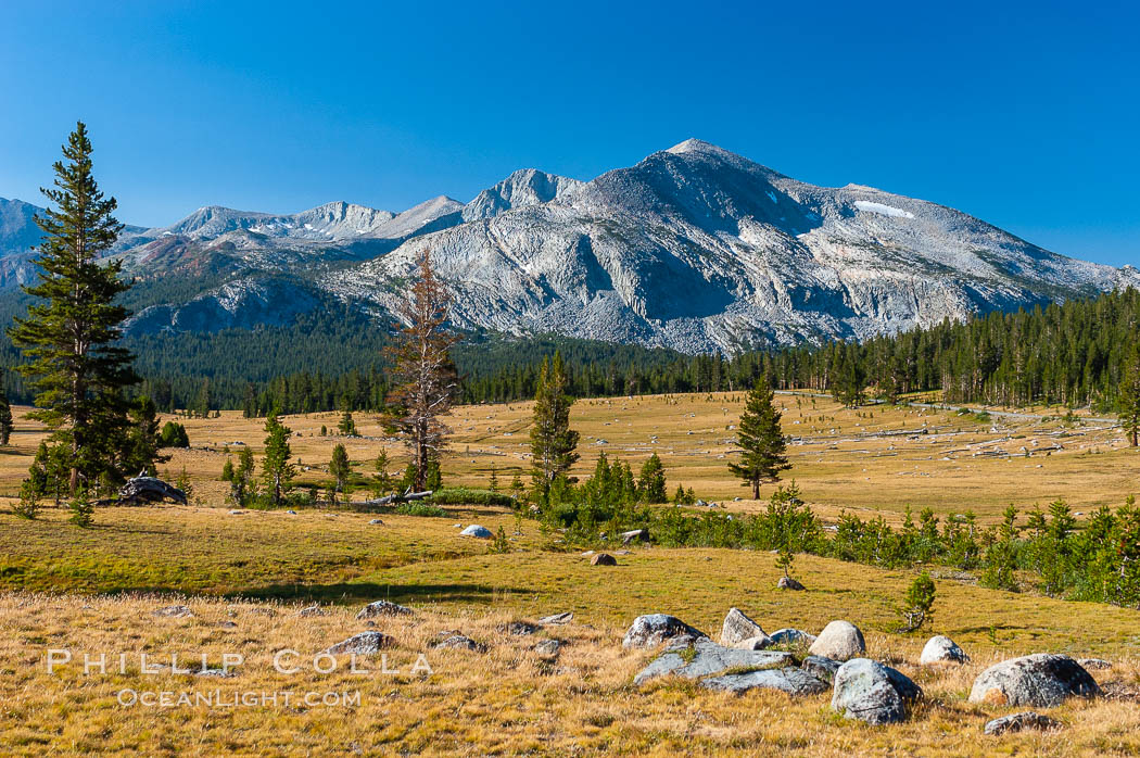 Mammoth Peak and alpine meadows in the High Sierra, viewed from the Tioga Pass road just west of the entrance to Yosemite National Park. Late summer. California, USA, natural history stock photograph, photo id 09953
