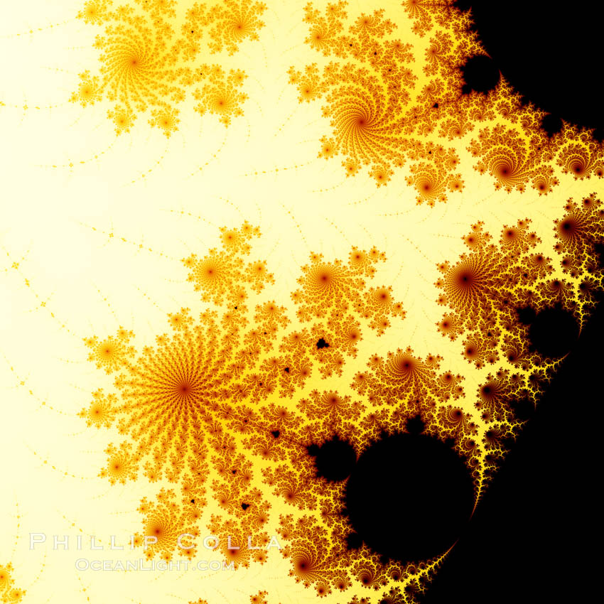 Detail within the Mandelbrot set fractal.  This detail is found by zooming in on the overall Mandelbrot set image, finding edges and buds with interesting features.  Fractals are complex geometric shapes that exhibit repeating patterns typified by <i>self-similarity</i>, or the tendency for the details of a shape to appear similar to the shape itself.  Often these shapes resemble patterns occurring naturally in the physical world, such as spiraling leaves, seemingly random coastlines, erosion and liquid waves.  Fractals are generated through surprisingly simple underlying mathematical expressions, producing subtle and surprising patterns.  The basic iterative expression for the Mandelbrot set is z = z-squared + c, operating in the complex (real, imaginary) number set., Mandelbrot set, natural history stock photograph, photo id 10408