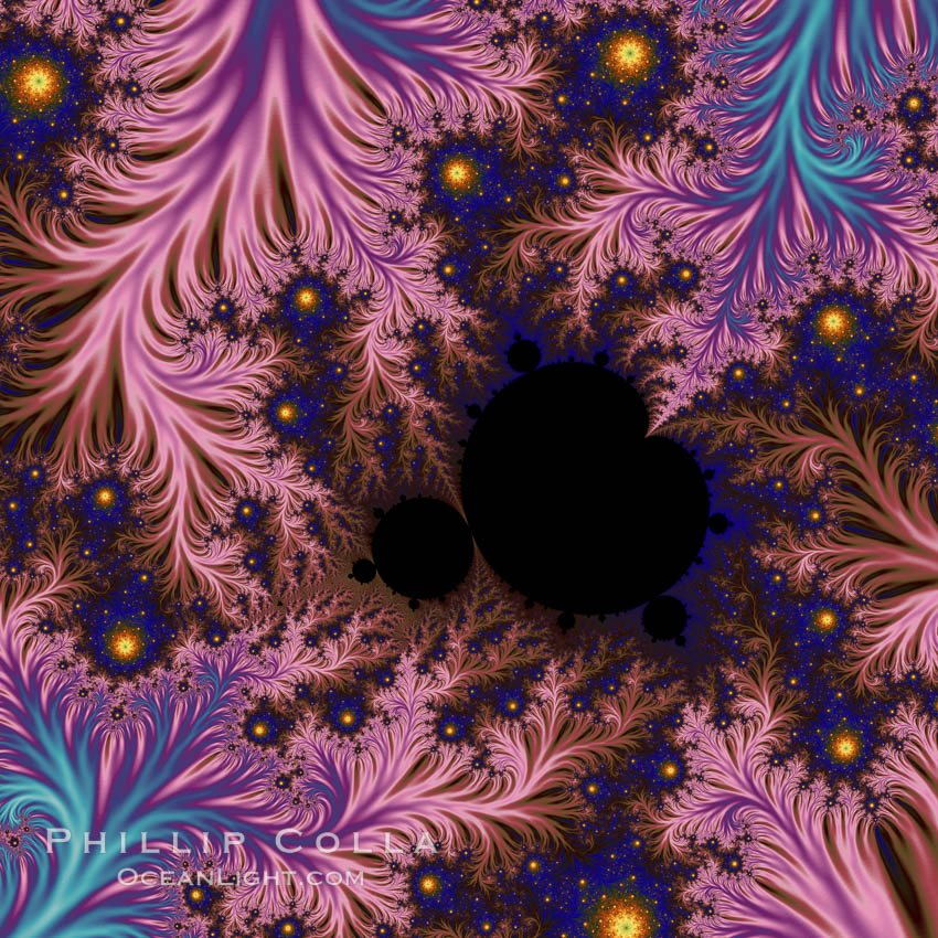 The Mandelbrot Fractal.  Fractals are complex geometric shapes that exhibit repeating patterns typified by <i>self-similarity</i>, or the tendency for the details of a shape to appear similar to the shape itself.  Often these shapes resemble patterns occurring naturally in the physical world, such as spiraling leaves, seemingly random coastlines, erosion and liquid waves.  Fractals are generated through surprisingly simple underlying mathematical expressions, producing subtle and surprising patterns.  The basic iterative expression for the Mandelbrot set is z = z-squared + c, operating in the complex (real, imaginary) number set., Mandelbrot set, natural history stock photograph, photo id 18728