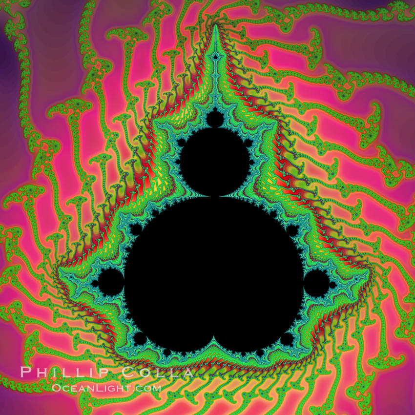 Detail within the Mandelbrot set fractal.  This detail is found by zooming in on the overall Mandelbrot set image, finding edges and buds with interesting features.  Fractals are complex geometric shapes that exhibit repeating patterns typified by <i>self-similarity</i>, or the tendency for the details of a shape to appear similar to the shape itself.  Often these shapes resemble patterns occurring naturally in the physical world, such as spiraling leaves, seemingly random coastlines, erosion and liquid waves.  Fractals are generated through surprisingly simple underlying mathematical expressions, producing subtle and surprising patterns.  The basic iterative expression for the Mandelbrot set is z = z-squared + c, operating in the complex (real, imaginary) number set., Mandelbrot set, natural history stock photograph, photo id 10375