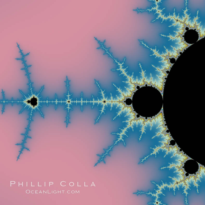 Detail within the Mandelbrot set fractal.  This detail is found by zooming in on the overall Mandelbrot set image, finding edges and buds with interesting features.  Fractals are complex geometric shapes that exhibit repeating patterns typified by <i>self-similarity</i>, or the tendency for the details of a shape to appear similar to the shape itself.  Often these shapes resemble patterns occurring naturally in the physical world, such as spiraling leaves, seemingly random coastlines, erosion and liquid waves.  Fractals are generated through surprisingly simple underlying mathematical expressions, producing subtle and surprising patterns.  The basic iterative expression for the Mandelbrot set is z = z-squared + c, operating in the complex (real, imaginary) number set., Mandelbrot set, natural history stock photograph, photo id 10379