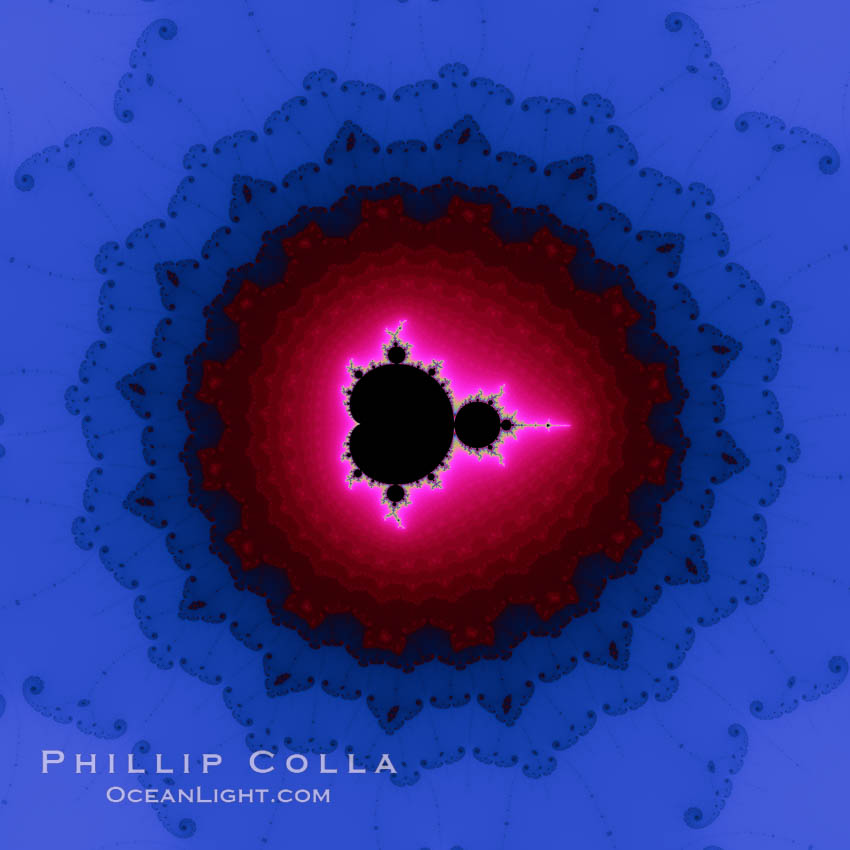 Detail within the Mandelbrot set fractal.  This detail is found by zooming in on the overall Mandelbrot set image, finding edges and buds with interesting features.  Fractals are complex geometric shapes that exhibit repeating patterns typified by <i>self-similarity</i>, or the tendency for the details of a shape to appear similar to the shape itself.  Often these shapes resemble patterns occurring naturally in the physical world, such as spiraling leaves, seemingly random coastlines, erosion and liquid waves.  Fractals are generated through surprisingly simple underlying mathematical expressions, producing subtle and surprising patterns.  The basic iterative expression for the Mandelbrot set is z = z-squared + c, operating in the complex (real, imaginary) number set., Mandelbrot set, natural history stock photograph, photo id 10387