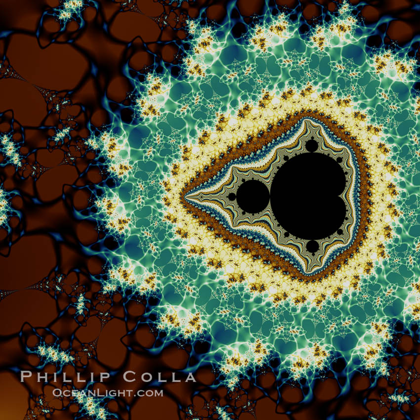 Detail within the Mandelbrot set fractal.  This detail is found by zooming in on the overall Mandelbrot set image, finding edges and buds with interesting features.  Fractals are complex geometric shapes that exhibit repeating patterns typified by <i>self-similarity</i>, or the tendency for the details of a shape to appear similar to the shape itself.  Often these shapes resemble patterns occurring naturally in the physical world, such as spiraling leaves, seemingly random coastlines, erosion and liquid waves.  Fractals are generated through surprisingly simple underlying mathematical expressions, producing subtle and surprising patterns.  The basic iterative expression for the Mandelbrot set is z = z-squared + c, operating in the complex (real, imaginary) number set., Mandelbrot set, natural history stock photograph, photo id 10381