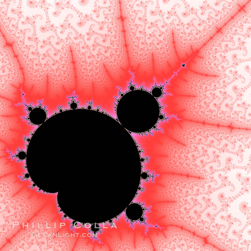 Detail within the Mandelbrot set fractal.  This detail is found by zooming in on the overall Mandelbrot set image, finding edges and buds with interesting features.  Fractals are complex geometric shapes that exhibit repeating patterns typified by <i>self-similarity</i>, or the tendency for the details of a shape to appear similar to the shape itself.  Often these shapes resemble patterns occurring naturally in the physical world, such as spiraling leaves, seemingly random coastlines, erosion and liquid waves.  Fractals are generated through surprisingly simple underlying mathematical expressions, producing subtle and surprising patterns.  The basic iterative expression for the Mandelbrot set is z = z-squared + c, operating in the complex (real, imaginary) number set., Mandelbrot set, natural history stock photograph, photo id 10389