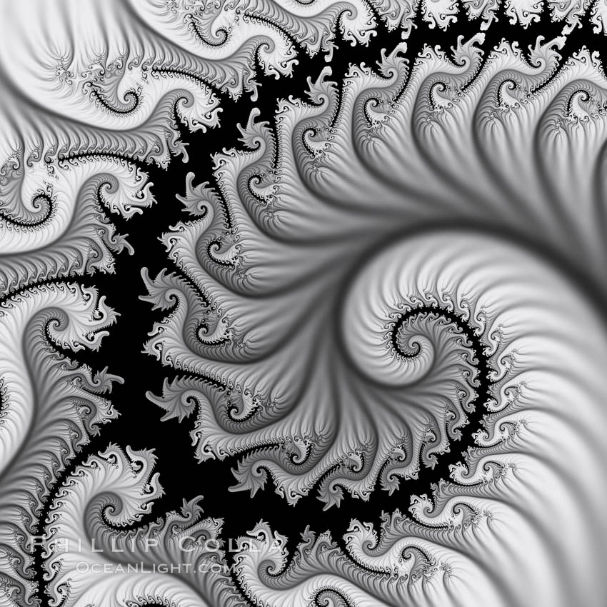 Detail within the Mandelbrot set fractal.  This detail is found by zooming in on the overall Mandelbrot set image, finding edges and buds with interesting features.  Fractals are complex geometric shapes that exhibit repeating patterns typified by <i>self-similarity</i>, or the tendency for the details of a shape to appear similar to the shape itself.  Often these shapes resemble patterns occurring naturally in the physical world, such as spiraling leaves, seemingly random coastlines, erosion and liquid waves.  Fractals are generated through surprisingly simple underlying mathematical expressions, producing subtle and surprising patterns.  The basic iterative expression for the Mandelbrot set is z = z-squared + c, operating in the complex (real, imaginary) number set., Mandelbrot set, natural history stock photograph, photo id 10409