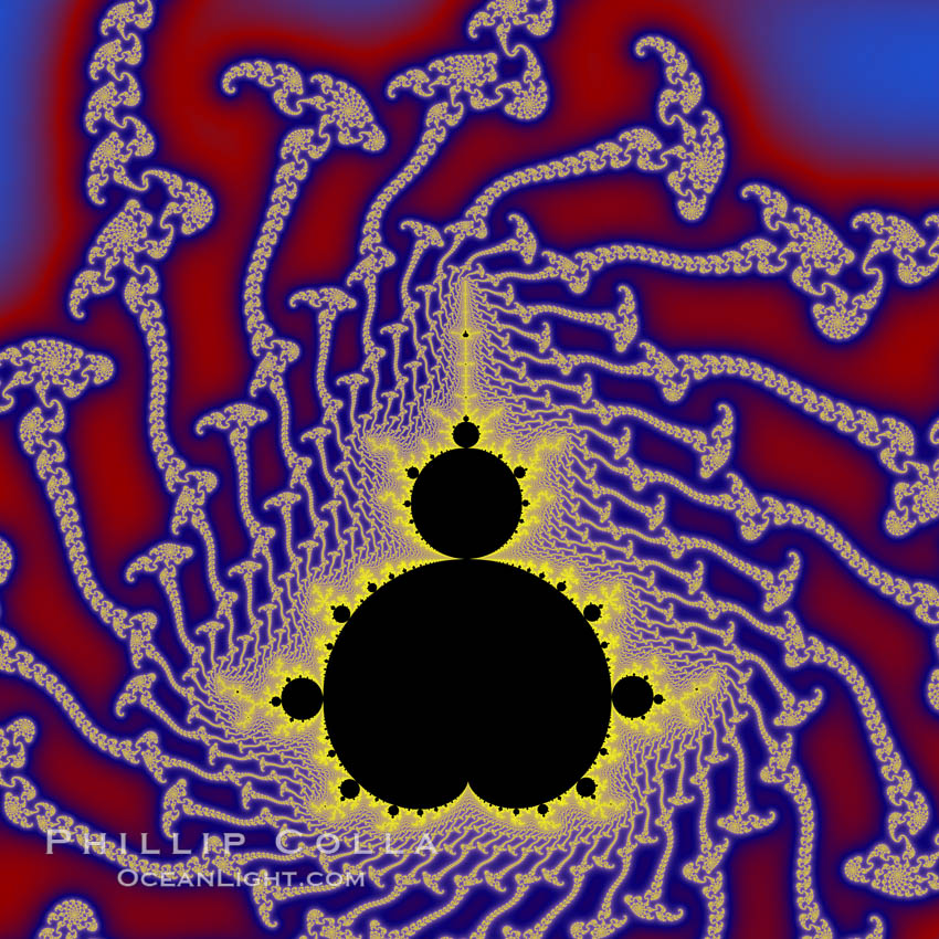The Mandelbrot Fractal.  Fractals are complex geometric shapes that exhibit repeating patterns typified by <i>self-similarity</i>, or the tendency for the details of a shape to appear similar to the shape itself.  Often these shapes resemble patterns occurring naturally in the physical world, such as spiraling leaves, seemingly random coastlines, erosion and liquid waves.  Fractals are generated through surprisingly simple underlying mathematical expressions, producing subtle and surprising patterns.  The basic iterative expression for the Mandelbrot set is z = z-squared + c, operating in the complex (real, imaginary) number set., Mandelbrot set, natural history stock photograph, photo id 18737