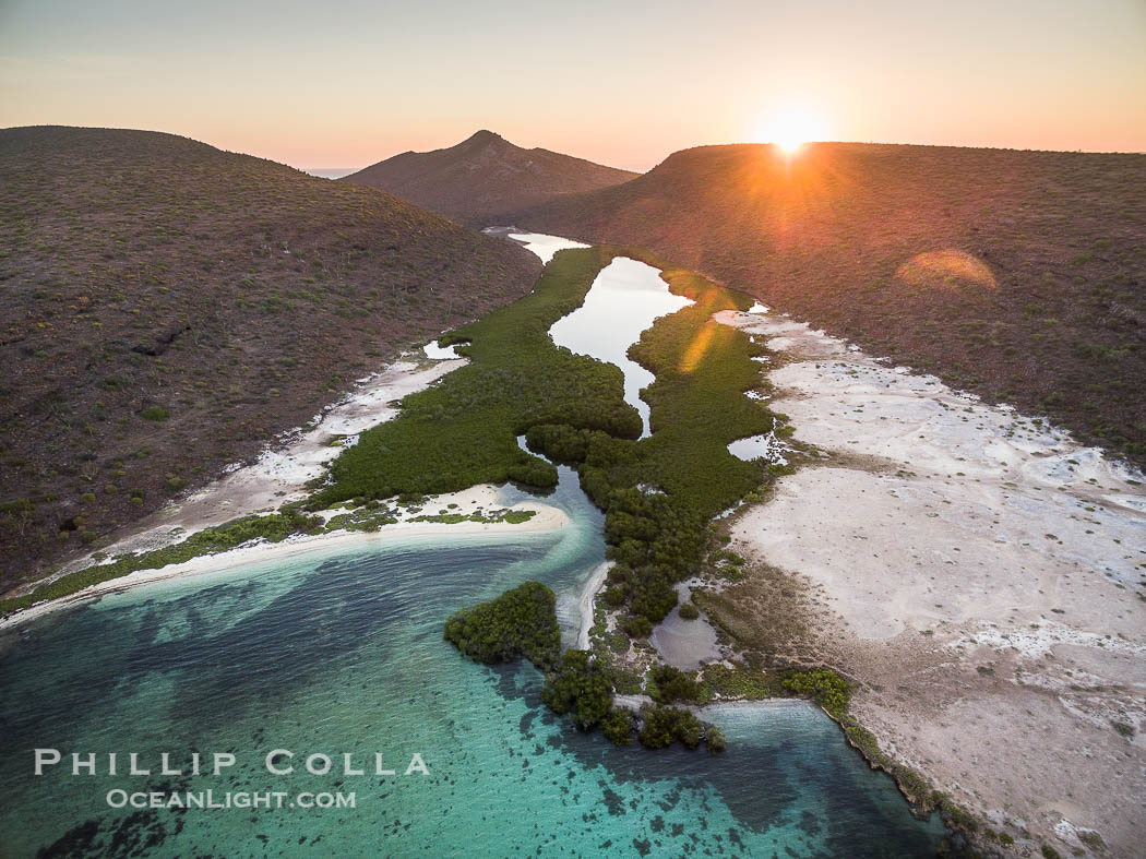 Mangroves, Ensenada de la Dispensa, Isla Espiritu Santo, aerial photo., natural history stock photograph, photo id 32370