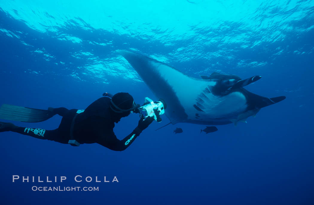 Manta ray and freediving videographer. San Benedicto Island (Islas Revillagigedos), Baja California, Mexico, Manta birostris, natural history stock photograph, photo id 02473