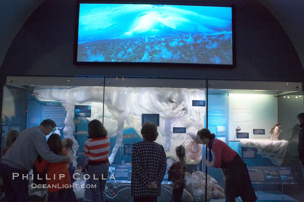 Visitors admire the marine life displays at the Milstein Hall of Ocean Life, American Museum of Natural History. New York City, USA, natural history stock photograph, photo id 11266
