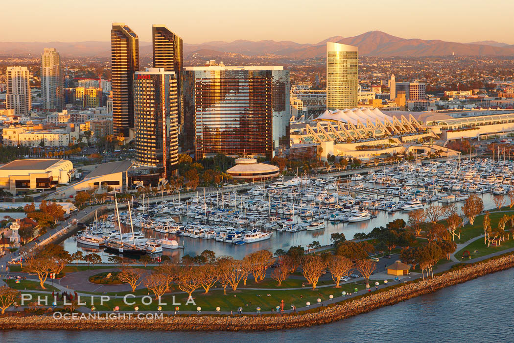 Marriott Hotel towers, rising above the Embarcadero Marine Park and yacht marina. San Diego, California, USA, natural history stock photograph, photo id 22291