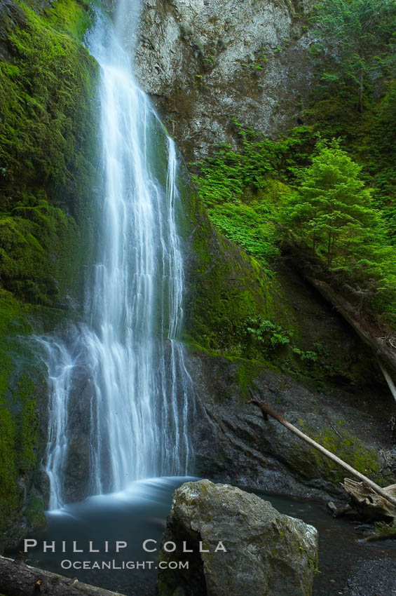 Marymere Falls drops 90 feet through an old-growth forest of Douglas firs, near Lake Crescent. Olympic National Park, Washington, USA, natural history stock photograph, photo id 13770