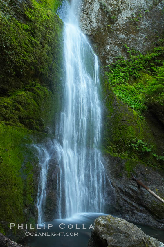 Marymere Falls drops 90 feet through an old-growth forest of Douglas firs, near Lake Crescent. Olympic National Park, Washington, USA, natural history stock photograph, photo id 13767