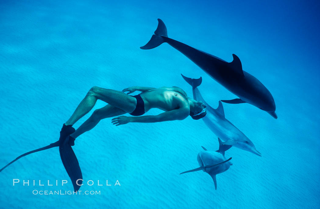 Atlantic spotted dolphin and Olympic champion swimmer Matt Biondi. Bahamas, Stenella frontalis, natural history stock photograph, photo id 00018