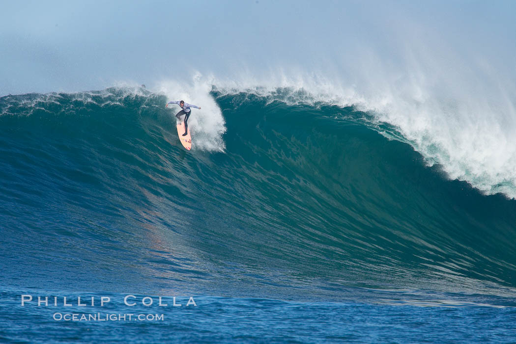 Anthony Tashnick (2005 champion) drops in during heat two, Mavericks surf contest, February 7, 2006. Half Moon Bay, California, USA, natural history stock photograph, photo id 15319