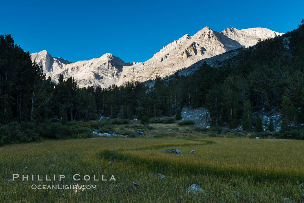 Meadow and Sierra Nevada peak Bear Creek Spire at sunrise, Little Lakes Valley, John Muir Wilderness, Inyo National Forest. Little Lakes Valley, Inyo National Forest, California, USA, natural history stock photograph, photo id 31171