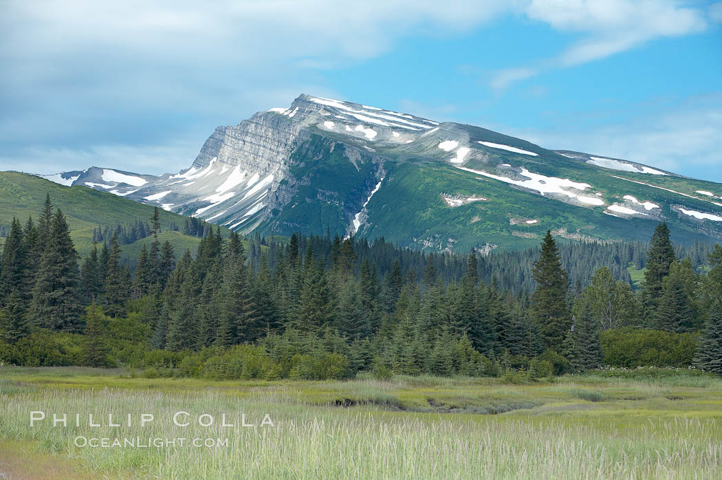 Meadow, spruce trees and mountains. Lake Clark National Park, Alaska, USA, natural history stock photograph, photo id 19262