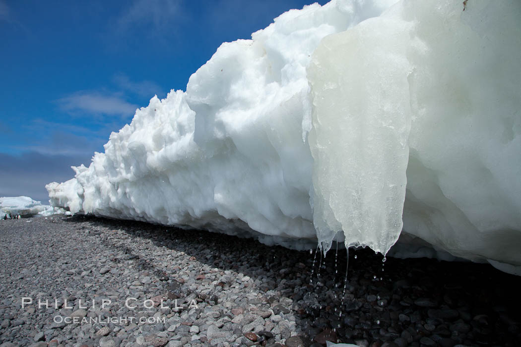 Melting ice along the shore of Paulet Island. Antarctic Peninsula, Antarctica, natural history stock photograph, photo id 24905