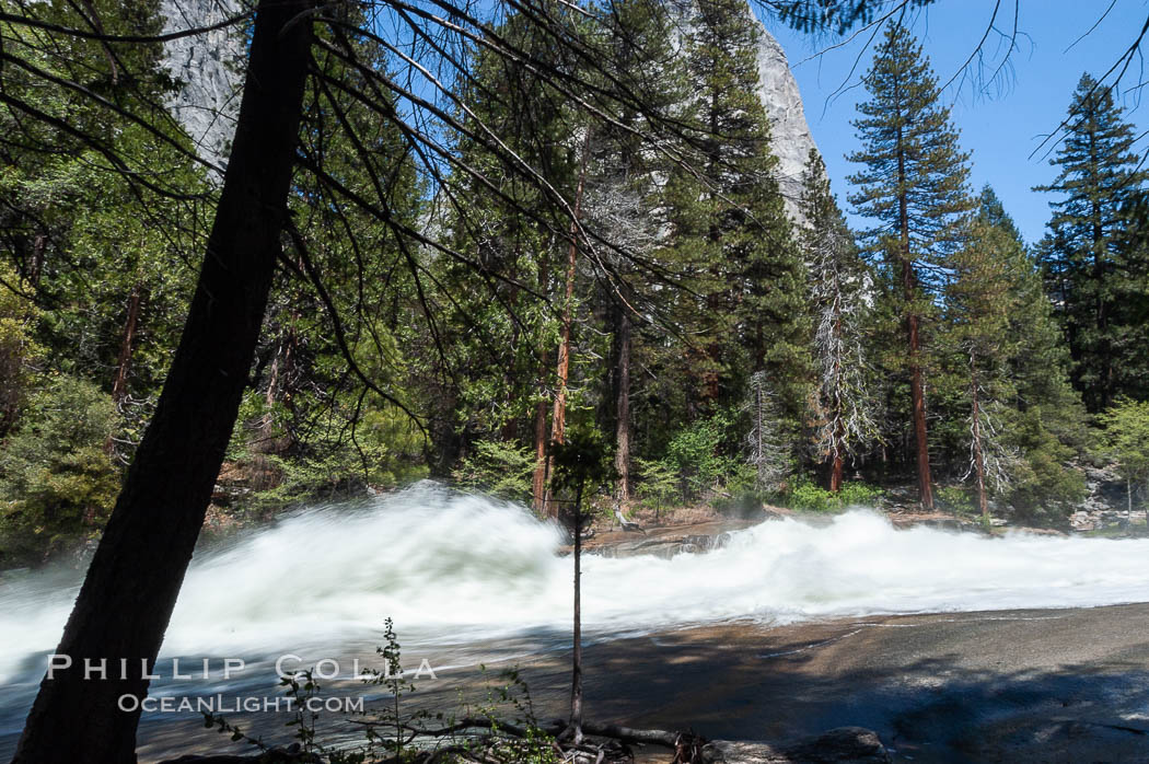 Merced River rapids at peak flow in late spring crashes through woods above Vernal Falls. Yosemite National Park, California, USA, natural history stock photograph, photo id 07146