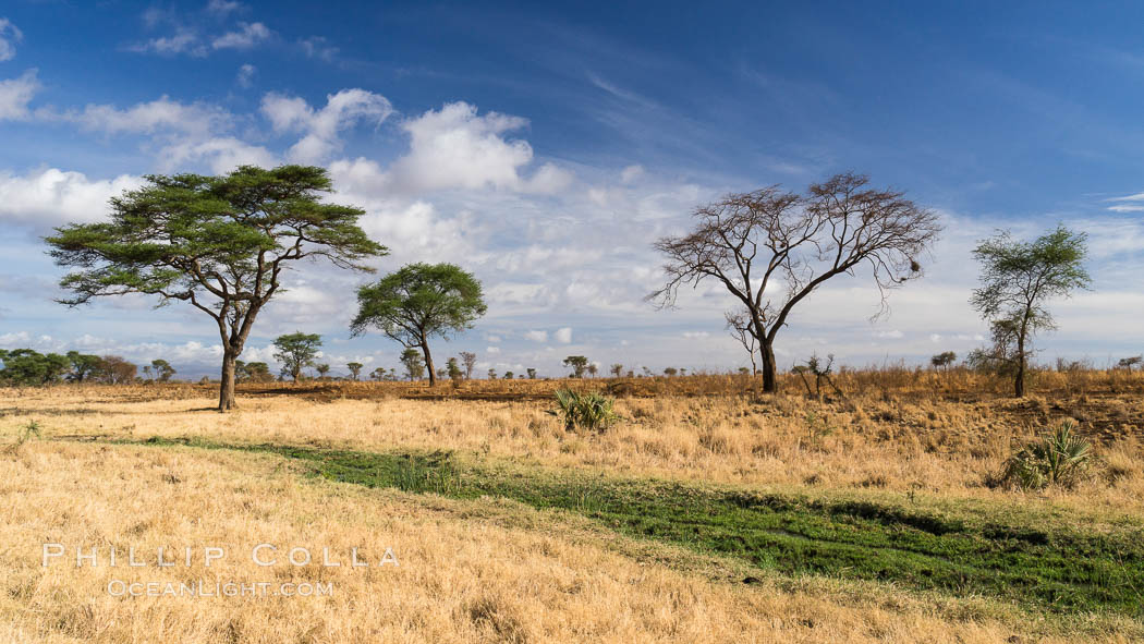 Meru National Park landscape. Kenya, natural history stock photograph, photo id 29700