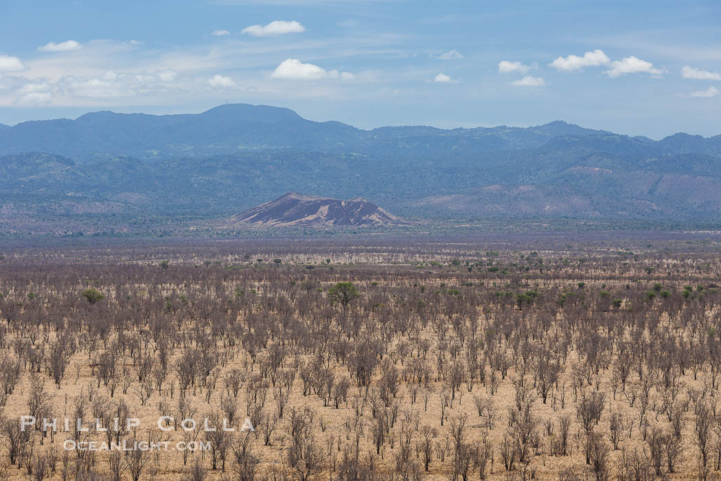 Meru National Park landscape., natural history stock photograph, photo id 29736