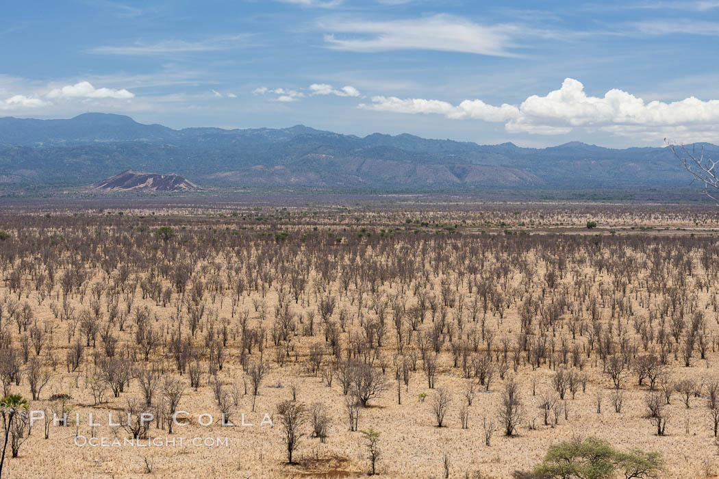 Meru National Park landscape. Kenya, natural history stock photograph, photo id 29735