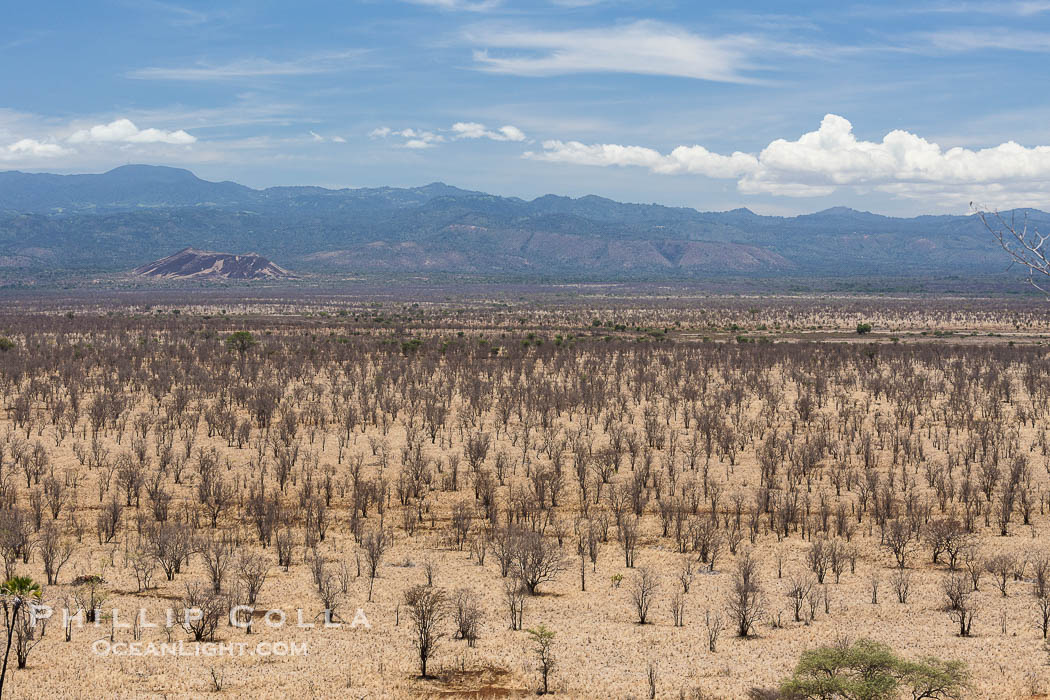 Meru National Park landscape., natural history stock photograph, photo id 29735