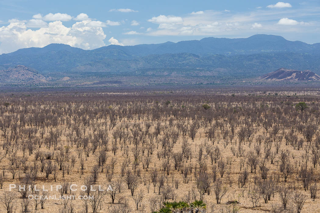 Meru National Park landscape., natural history stock photograph, photo id 29737