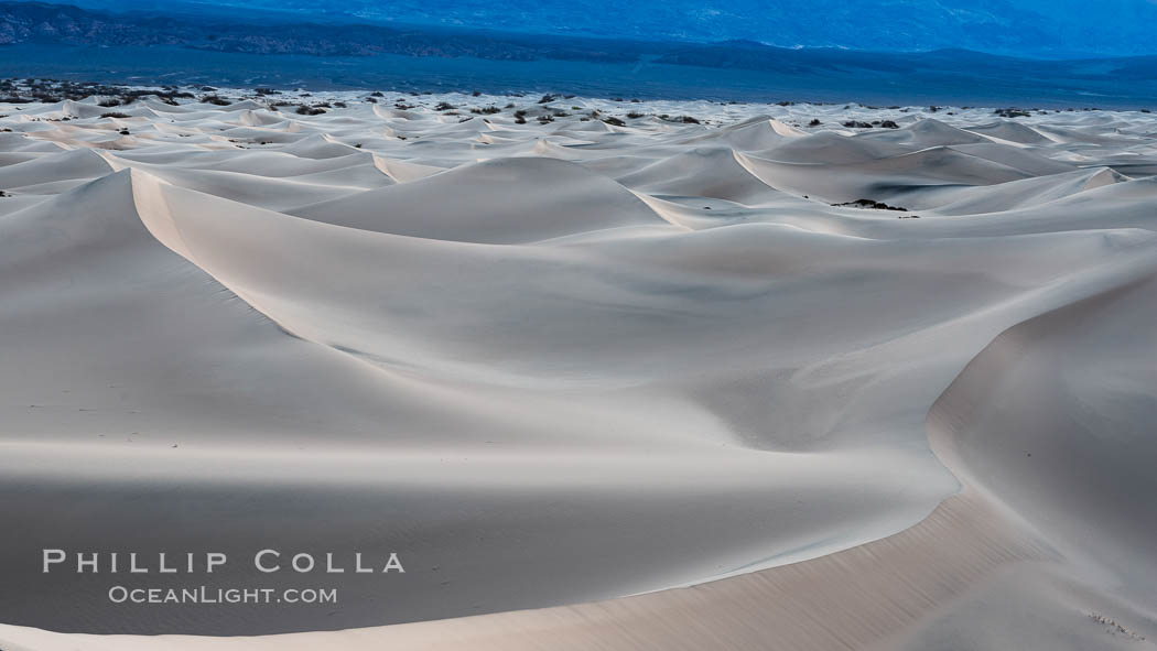 Mesquite Dunes at sunrise, dawn, clouds and morning sky, sand dunes. Death Valley National Park, California, USA, natural history stock photograph, photo id 30478