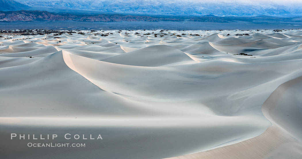 Mesquite Dunes at sunrise, dawn, clouds and morning sky, sand dunes. Death Valley National Park, California, USA, natural history stock photograph, photo id 30480