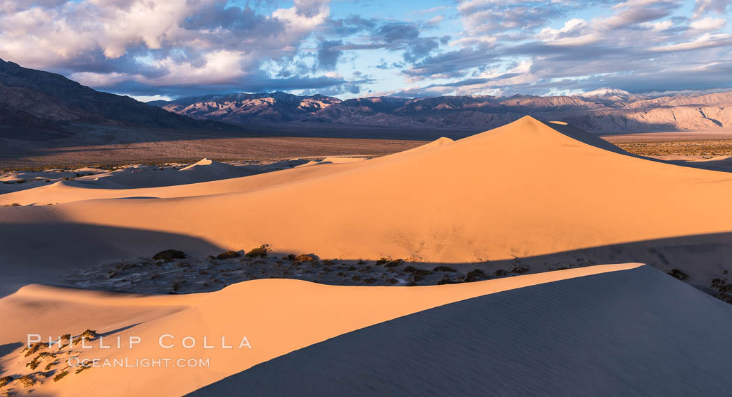 Mesquite Dunes at sunrise, dawn, clouds and morning sky, sand dunes. Death Valley National Park, California, USA, natural history stock photograph, photo id 30484