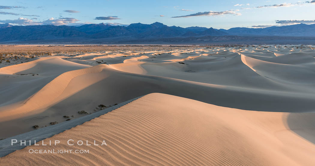 Mesquite Dunes at sunrise, dawn, clouds and morning sky, sand dunes. Death Valley National Park, California, USA, natural history stock photograph, photo id 30481