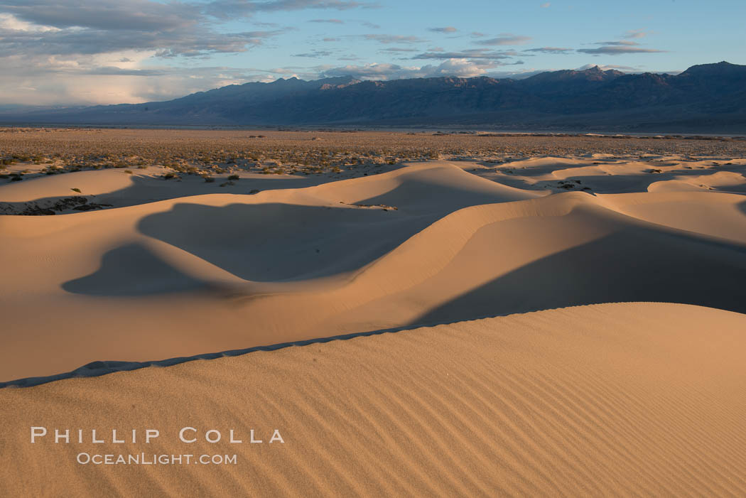 Mesquite Dunes at sunrise, dawn, clouds and morning sky, sand dunes. Death Valley National Park, California, USA, natural history stock photograph, photo id 30485