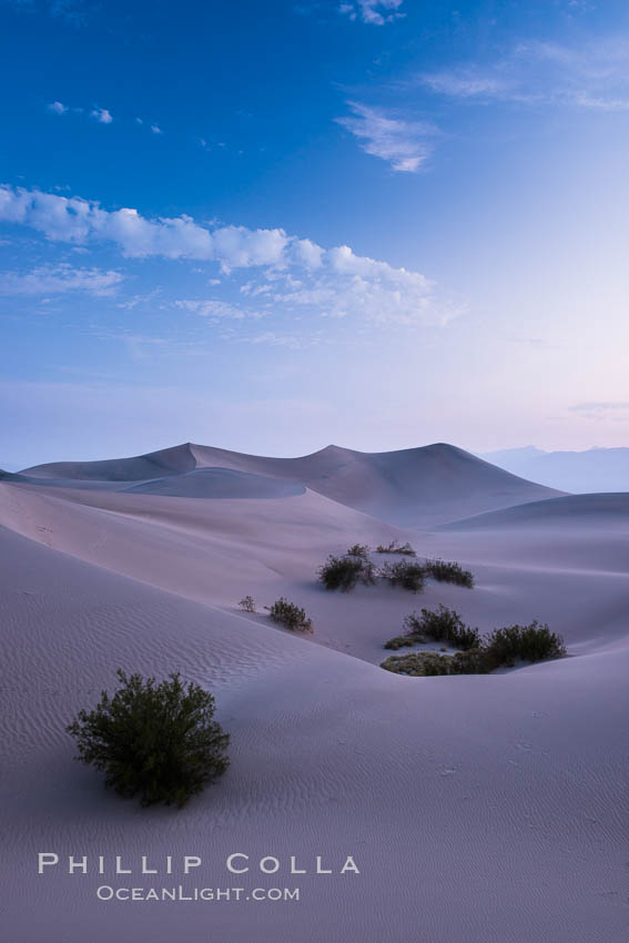 Mesquite Dunes sunrise, dawn, clouds and morning sky, sand dunes. Stovepipe Wells, Death Valley National Park, California, USA, natural history stock photograph, photo id 28682