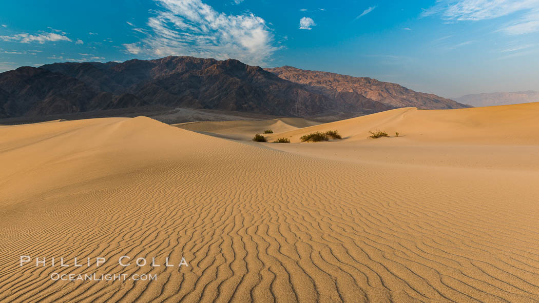 Mesquite Dunes sunrise, Death Valley. Stovepipe Wells, Death Valley National Park, California, USA, natural history stock photograph, photo id 28690