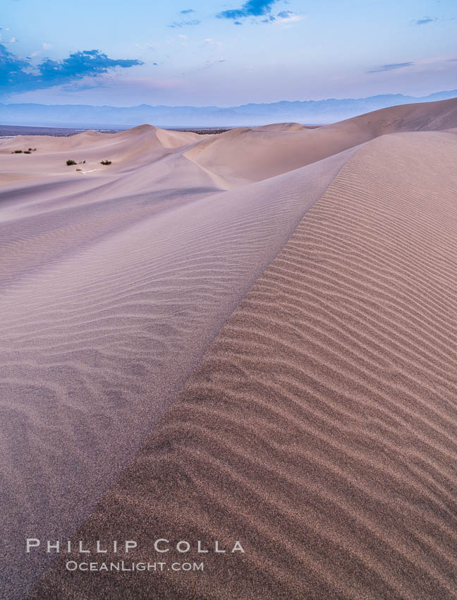 Mesquite Dunes sunrise, dawn, clouds and morning sky, sand dunes. Stovepipe Wells, Death Valley National Park, California, USA, natural history stock photograph, photo id 28687