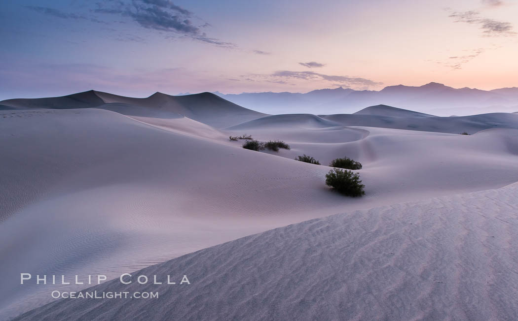 Mesquite Dunes sunrise, dawn, clouds and morning sky, sand dunes. Stovepipe Wells, Death Valley National Park, California, USA, natural history stock photograph, photo id 28681