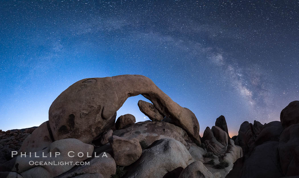 Milky Way over Arch Rock, planet Venus framed with the arch, at astronomical twilight, Joshua Tree National Park. California, USA, natural history stock photograph, photo id 29198