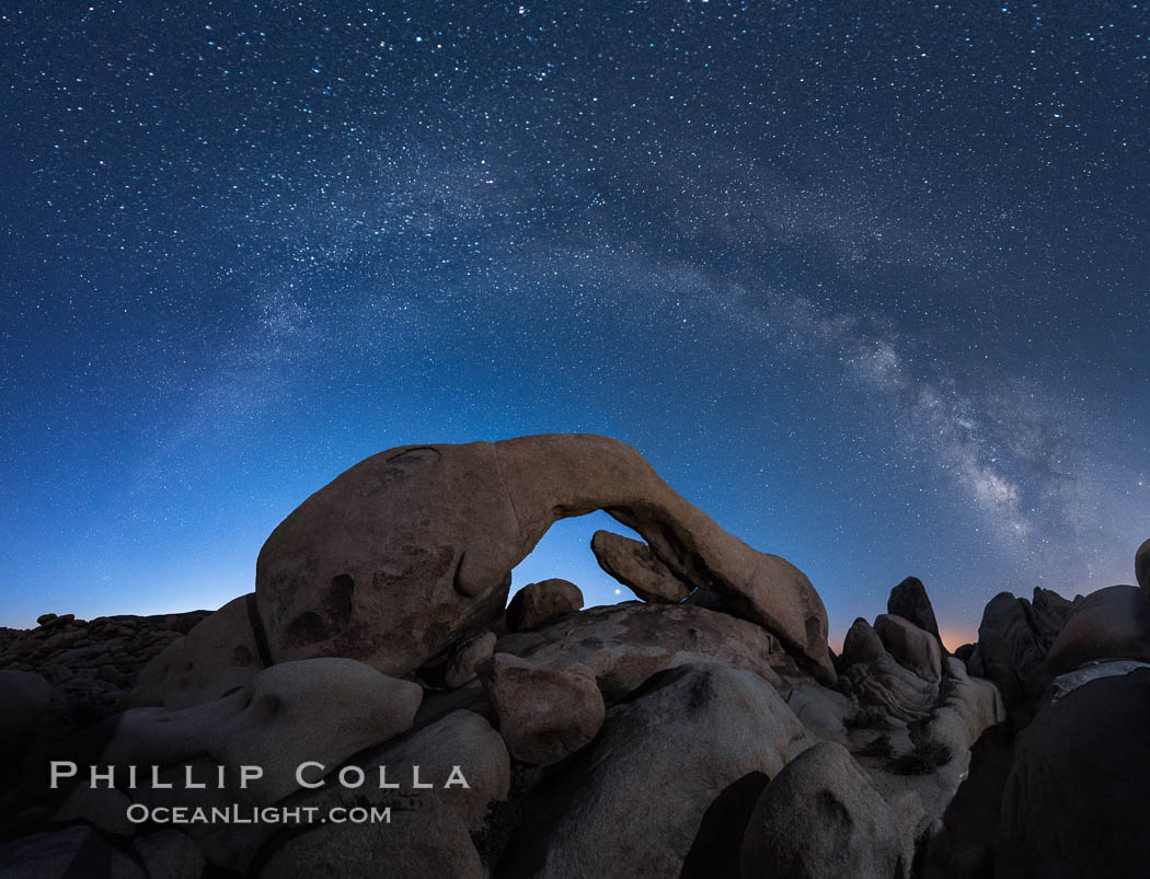 Milky Way over Arch Rock, planet Venus framed with the arch, at astronomical twilight, Joshua Tree National Park. California, USA, natural history stock photograph, photo id 29199