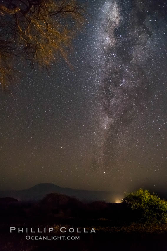 Milky Way over Mount Kilimanjaro, viewed from Amboseli National Park. Kenya, natural history stock photograph, photo id 29558