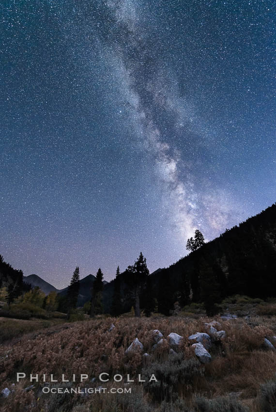 Milky Way over Mineral King Valley, Sequoia National Park. California, USA, natural history stock photograph, photo id 32256