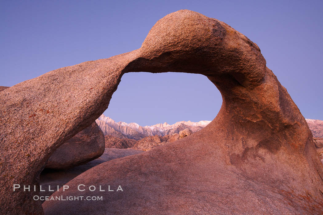 Mobius Arch, with snow covered Mt. Whitney and the Sierra Nevada Range framed within the natural stone arch.  Mt. Whitney is the highest peak in the continental United States. Alabama Hills Recreational Area, California, USA, natural history stock photograph, photo id 21767