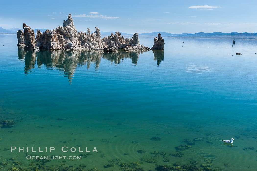 Tufa towers rise from Mono Lake.  Tufa towers are formed when underwater springs rich in calcium mix with lakewater rich in carbonates, forming calcium carbonate (limestone) structures below the surface of the lake.  The towers were eventually revealed when the water level in the lake was lowered starting in 1941.  South tufa grove, Navy Beach. California, USA, natural history stock photograph, photo id 09927