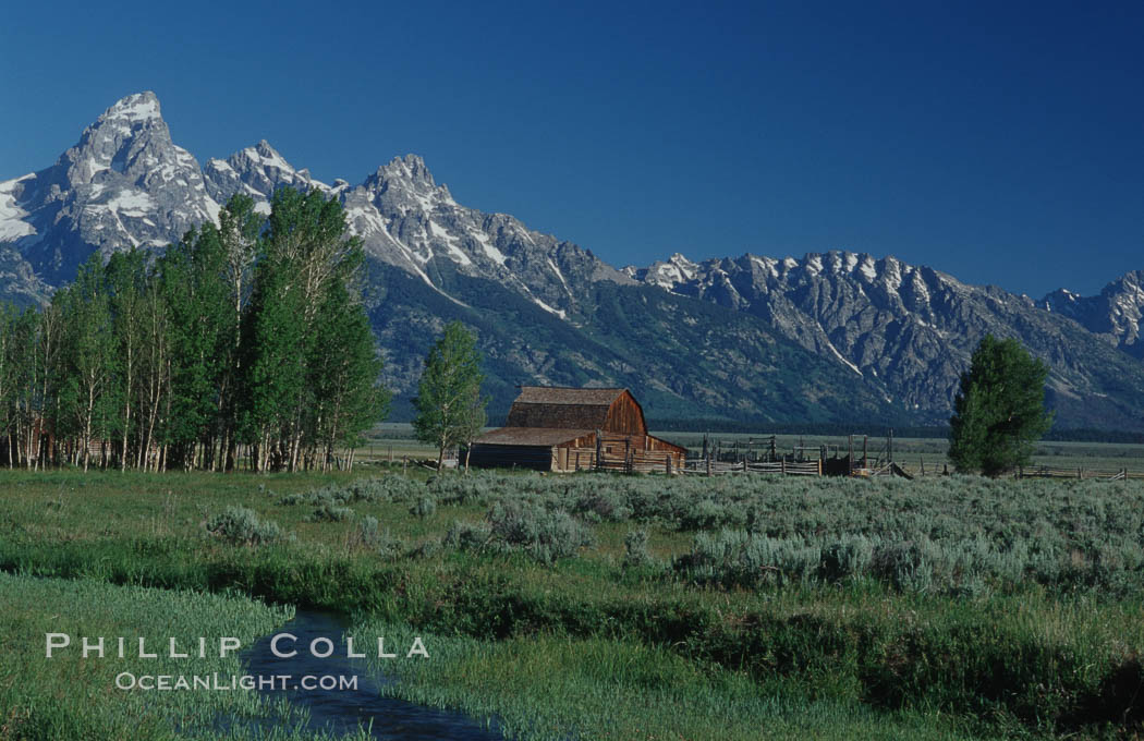 Aspens, a small creek and an old barn along Mormon Row below the Teton Range. Grand Teton National Park, Wyoming, USA, natural history stock photograph, photo id 07377