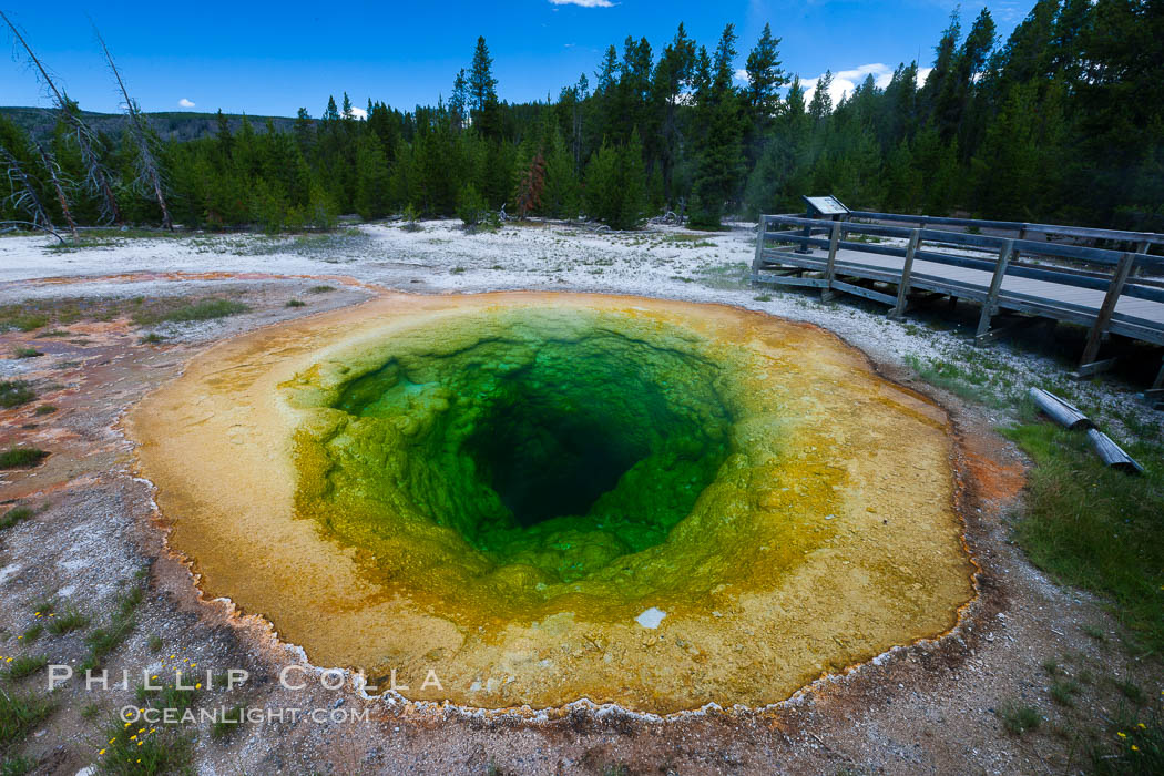 Morning Glory Pool, has long been considered a must-see site in Yellowstone. At one time a road brought visitors to its brink. Over the years they threw coins, bottles and trash in the pool, reducing its flow and causing the red and orange bacteria to creep in from its edge, replacing the blue bacteria that thrive in the hotter water at the center of the pool. The pool is now accessed only by a foot path. Upper Geyser Basin, Yellowstone National Park, Wyoming, USA, natural history stock photograph, photo id 26955
