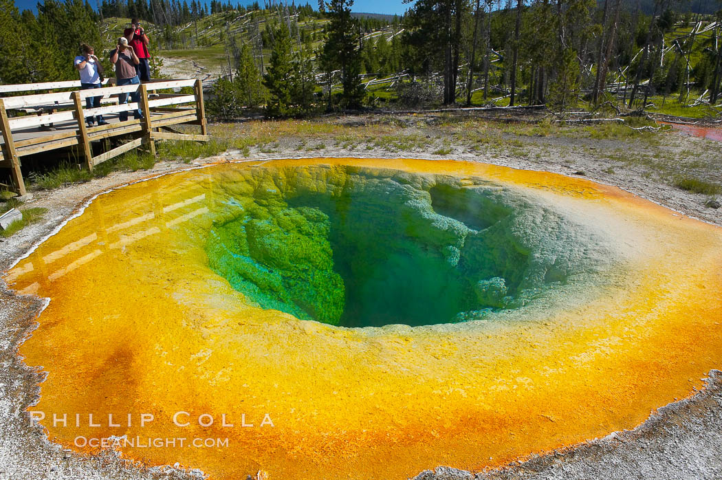 Morning Glory Pool has long been considered a must-see site in Yellowstone.  At one time a road brought visitors to its brink.  Over the years they threw coins, bottles and trash in the pool, reducing its flow and causing the red and orange bacteria to creep in from its edge, replacing the blue bacteria that thrive in the hotter water at the center of the pool.  The pool is now accessed only by a foot path.  Upper Geyser Basin. Yellowstone National Park, Wyoming, USA, natural history stock photograph, photo id 13354