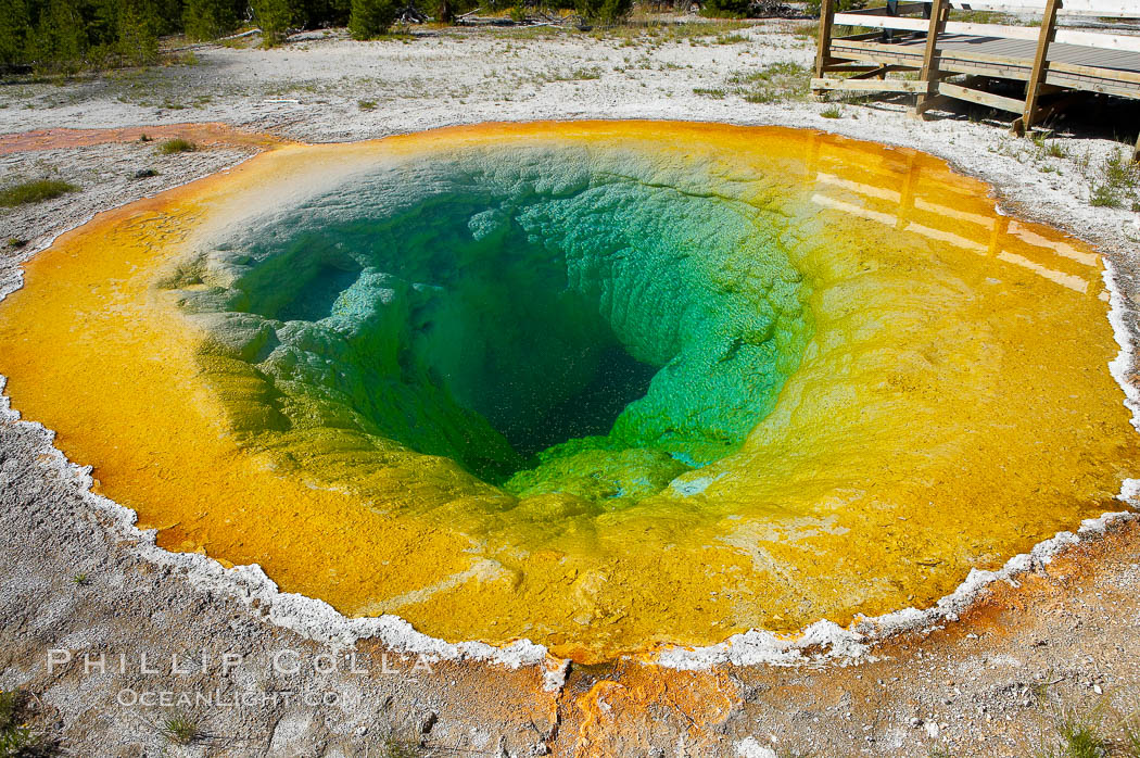 Morning Glory Pool has long been considered a must-see site in Yellowstone.  At one time a road brought visitors to its brink.  Over the years they threw coins, bottles and trash in the pool, reducing its flow and causing the red and orange bacteria to creep in from its edge, replacing the blue bacteria that thrive in the hotter water at the center of the pool.  The pool is now accessed only by a foot path.  Upper Geyser Basin. Yellowstone National Park, Wyoming, USA, natural history stock photograph, photo id 13353