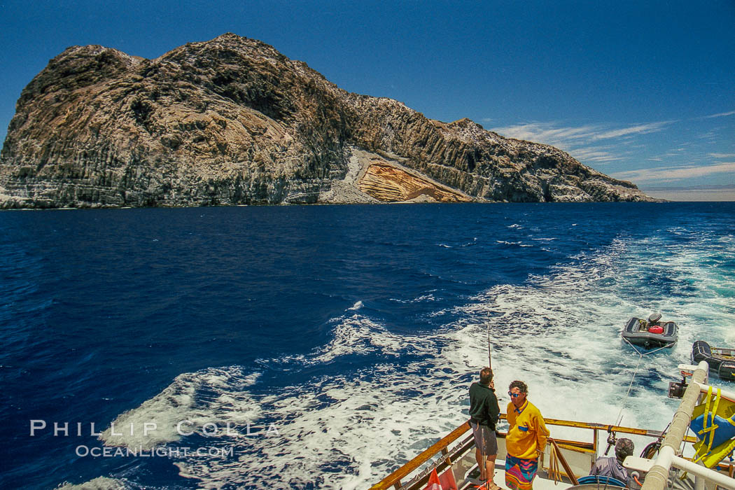 Motoring across Melpomene Cove, south end of Guadalupe Island, Mexico. Guadalupe Island (Isla Guadalupe), Baja California, natural history stock photograph, photo id 36231